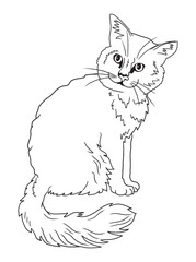 Minimalist black-and-white cat illustration designed for coloring books. A delightful choice for feline fans, kids, and artistic activities.