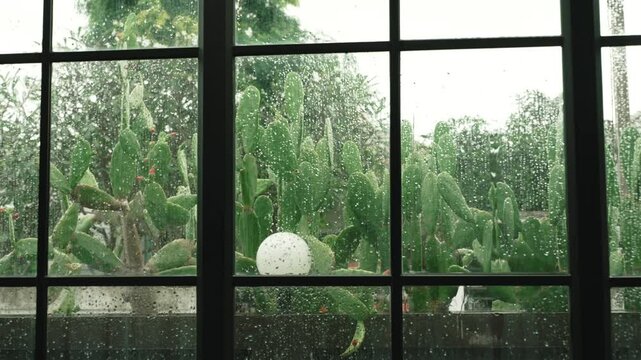Close-up of rain drops on the glass of large window with a black frame in the veranda. Tropical climate cloudy weather on the summer day 