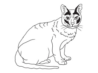 Minimalist black-and-white cat illustration designed for coloring books. A delightful choice for feline fans, kids, and artistic activities.