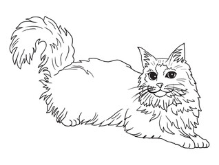 Minimalist black-and-white cat illustration designed for coloring books. A delightful choice for feline fans, kids, and artistic activities.