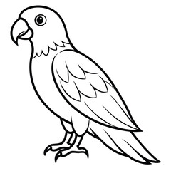 Vibrant Parrot Vector Illustration Line Art Design