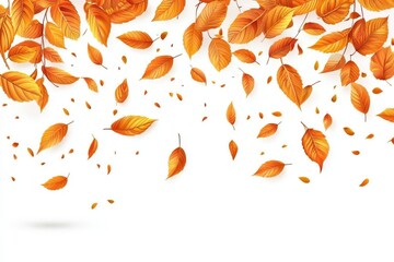 Obraz premium Autumn leaves falling isolated on white background