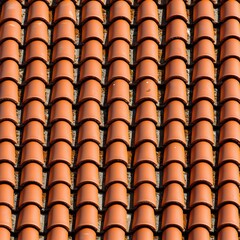 Close-up of terracotta roof tiles, arranged in a neat pattern, isolated view.