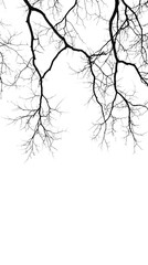 Fototapeta premium Elegant Minimalist Branch Patterns with a Clear Background