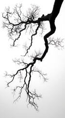 Elegant Minimalist Branch Patterns with a Clear Background