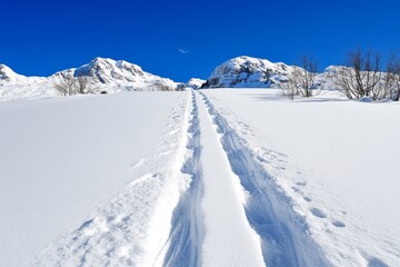 A close-up of ski tracks carving through fresh powder snow on the slopes of Bjelasnica