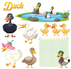 Colorful Duck Family Illustration