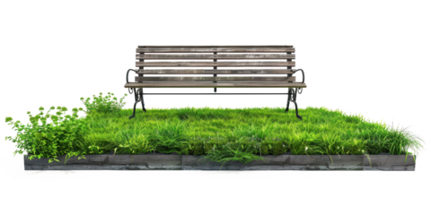 Serene Park Bench on Lush Green Grass