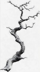 Fototapeta premium Elegant Minimalist Branch Patterns with a Clear Background