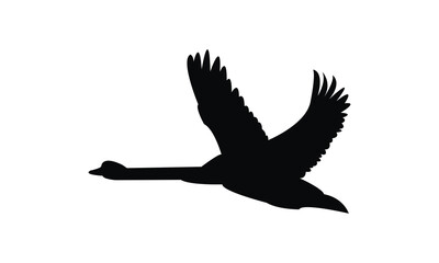 Flying Swan Silhouette Design  And Vector Illustration. 