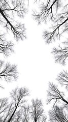 Fototapeta premium Elegant Minimalist Branch Patterns with a Clear Background