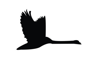 Flying Swan Silhouette Design  And Vector Illustration. 