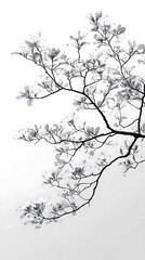 Elegant Minimalist Branch Patterns with a Clear Background