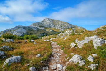 Rocky mountain trail leading to summit under blue sky