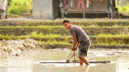 Asian rice farmer pulling a leveler in paddy field to install it on hand tractor, rural house in background