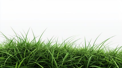 Fototapeta premium Lush green grass with a soft gradient background, ideal for nature-themed designs.