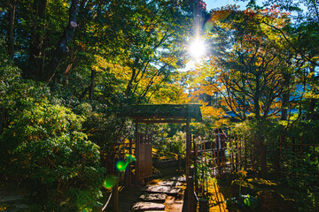 京都、南禅寺天授庵の南庭入り口