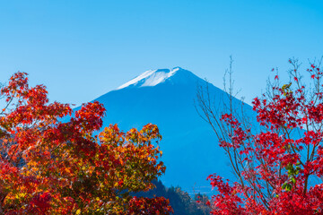 Colorful Autumn Season and Mountain Fuji with morning fog and Red Maple Leaves in autumn at lake Kawaguchiko is one of the best places in Japan, Travel.