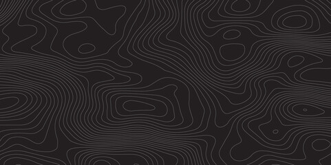 Abstract Topographic background White&Blak  Topographic Simple Map Design  
