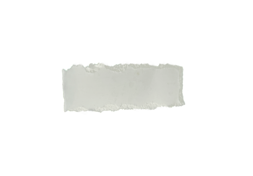 piece of torn paper