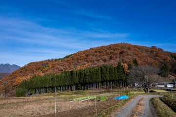 紅葉の山並みと冠雪した北アルプス