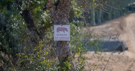 Warnschild Beware of Hippos, Vorsicht vor Flusspferde genannt Nilpferd - Hippo, im Krüger National...