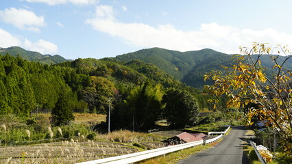 始まりの紅葉が美しい田舎