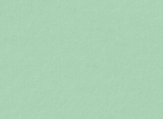 滑らかな和紙の模様と質感・パステルグリーン