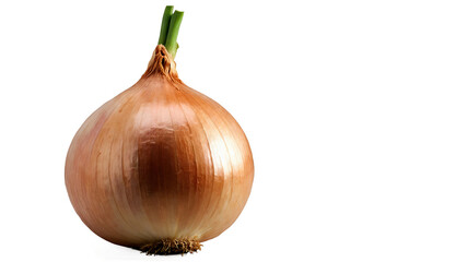 Fresh Yellow Onion with Green Sprout Isolated  
