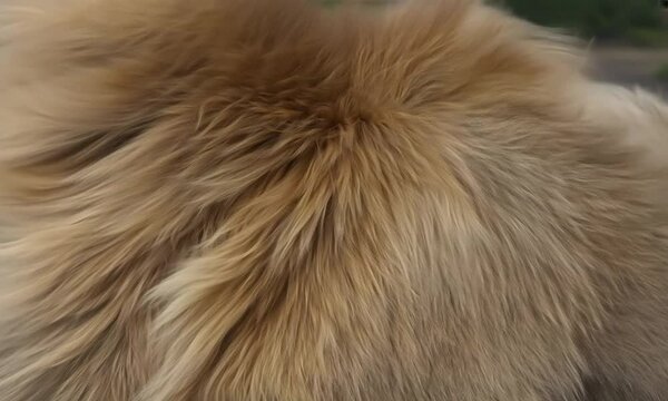 Animal hair, fur texture, soft warm pleasant to the touch material. Generative AI