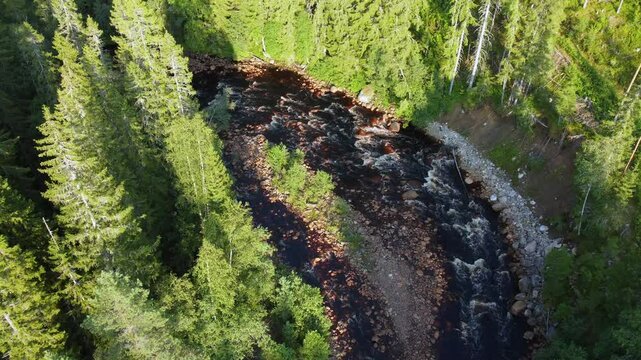 Aerial footage of Vangan River flowing in a lush woods in Brattfallet in Eksharads socken, Sweden