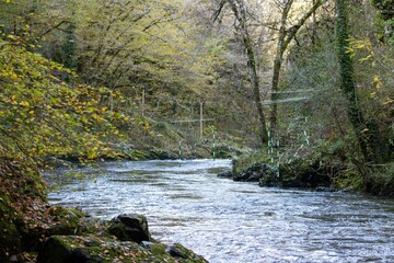 Obraz premium Serene Woodland River Flowing through Dordogne's Lush Autumn Landscape