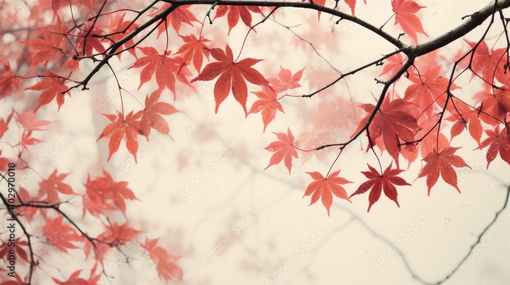 Poster vibrant red maple leaves on branches creating a serene spring atmosphere against a soft blurred back