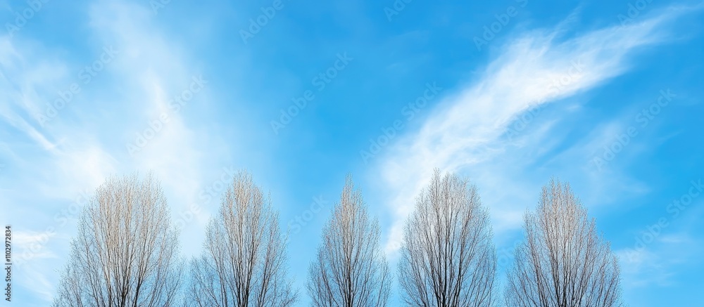 Aufkleber serene trees under a clear blue sky with wispy clouds creating a tranquil nature scene ideal for rel