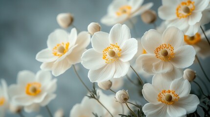 Obraz premium Delicate white and yellow flowers beautifully arranged on a soft background showcasing nature's elegance and tranquility