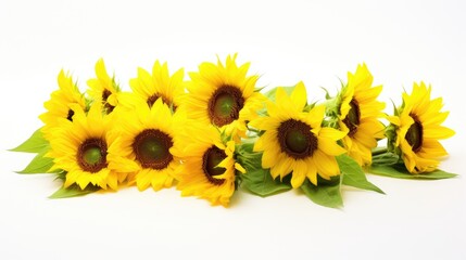 Vibrant bouquet of bright yellow sunflowers arranged on a clean white background showcasing nature's beauty and floral elements.