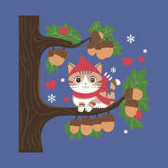 cat and mouse