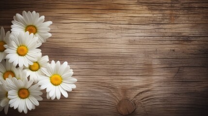 Obraz premium Daisy flowers arranged on a rustic wooden surface creating a charming natural backdrop for creative displays and designs