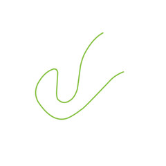 green thread line vector