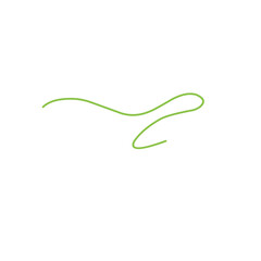 green thread line vector