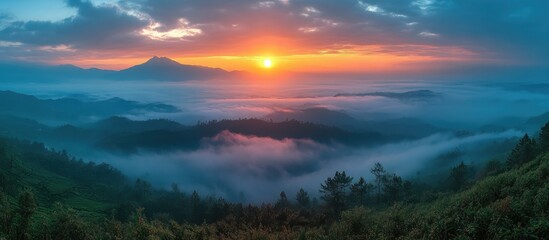 Fototapeta premium Majestic sunrise over lush tea plantation with misty mountains and vibrant sky colors in serene landscape setting