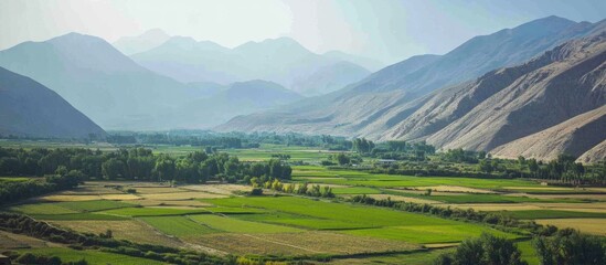 Obraz premium Lush green irrigation fields in a serene valley surrounded by majestic mountains under a clear blue sky.