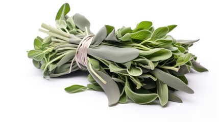 Freshly harvested sage bundle on a clean white background showcasing vibrant green leaves and natural textures of the herb.