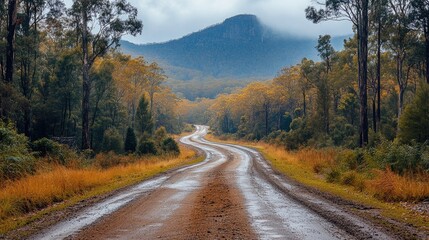 Obraz premium Scenic winding road through a tranquil national park surrounded by lush greenery and misty mountains showcasing natural beauty.