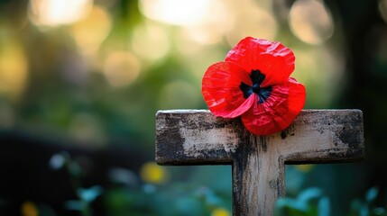 Red remembrance poppy resting atop a weathered wooden cross, symbolizing honor and tribute to military service against a softly blurred natural backdrop.