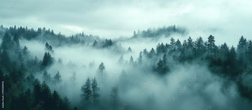 Poster mysterious fog enveloping lush evergreen forests creating a serene and atmospheric landscape scene