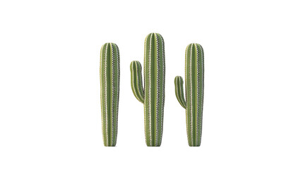 Cactus, white isolate background
