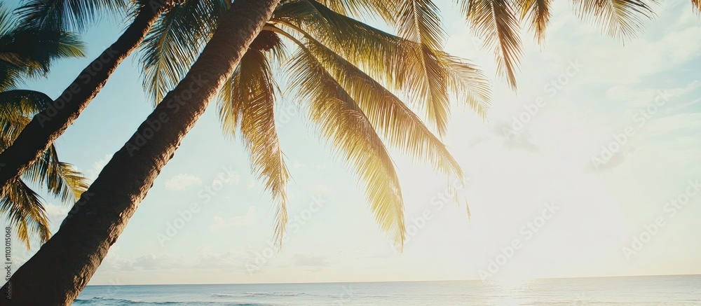 Poster Sunset over tranquil beach with coconut palms swaying gently in the breeze, creating a serene tropical atmosphere for relaxation and escape.
