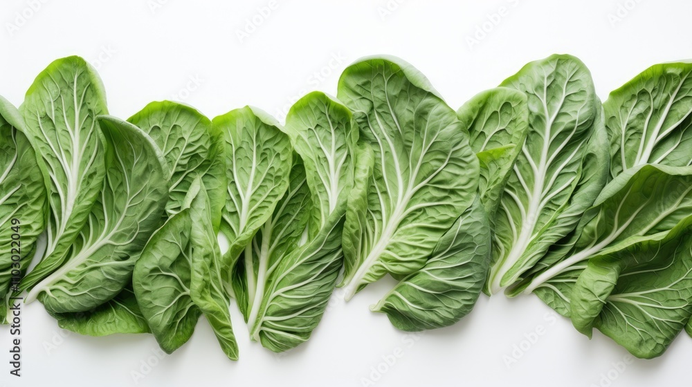 Poster fresh organic green leaf vegetables arranged in a row showcasing texture and vibrant color against a
