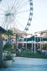 Obraz premium pool in the park